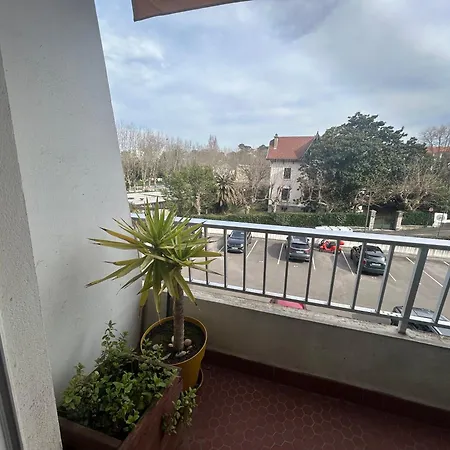 Cosy - Classe 2 Etoiles Apartment